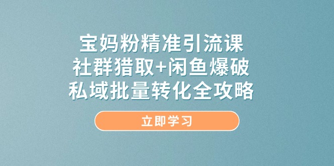 宝妈粉精准引流课，社群猎取+闲鱼爆破，私域批量转化全攻略-AI创作学习-提示词应用-短视频玩法浮光AI学习网