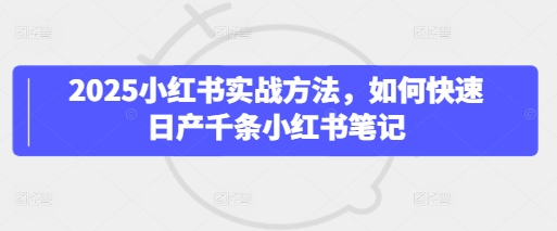 2025小红书实战方法，如何快速日产千条小红书笔记-AI创作学习-提示词应用-短视频玩法浮光AI学习网