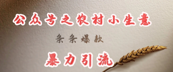 百万IP商业陪跑,打通商业闭环,流量业绩倍增