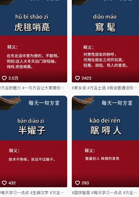 抖音最新涨粉玩法，【方言】图文暴力涨粉实操，126作品涨粉11W-AI创作学习-提示词应用-短视频玩法浮光AI学习网