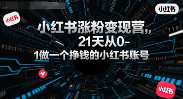 小红书涨粉变现营，21天从0-1做一个挣钱的小红书账号-AI创作学习-提示词应用-短视频玩法浮光AI学习网