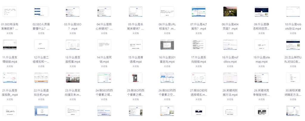 零基础SEO优化课程，手把手教你做SEO优化，只讲干货-AI创作学习-提示词应用-短视频玩法浮光AI学习网