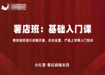 小红书电商：基础入门课+进阶流量课：店铺开通、后台设置、产品上传、选品、引流，卖货-AI创作学习-提示词应用-短视频玩法浮光AI学习网