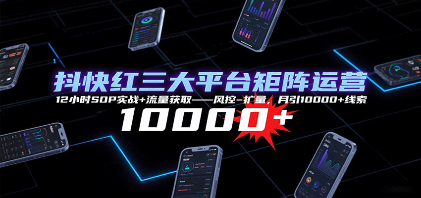 抖快红三大平台矩阵运营，12小时SOP实战+流量获取-风控-扩量，月引10000+线索-AI创作学习-提示词应用-短视频玩法浮光AI学习网