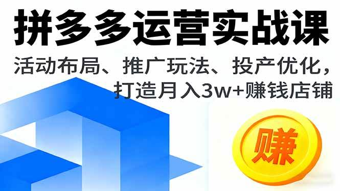 拼多多运营实战课，活动布局、推广玩法、投产优化，打造月入3w+赚钱店铺-AI创作学习-提示词应用-短视频玩法浮光AI学习网