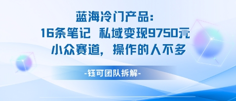 蓝海项目：16条笔记私域变现9750米小众赛道操作的人不多-AI创作学习-提示词应用-短视频玩法浮光AI学习网